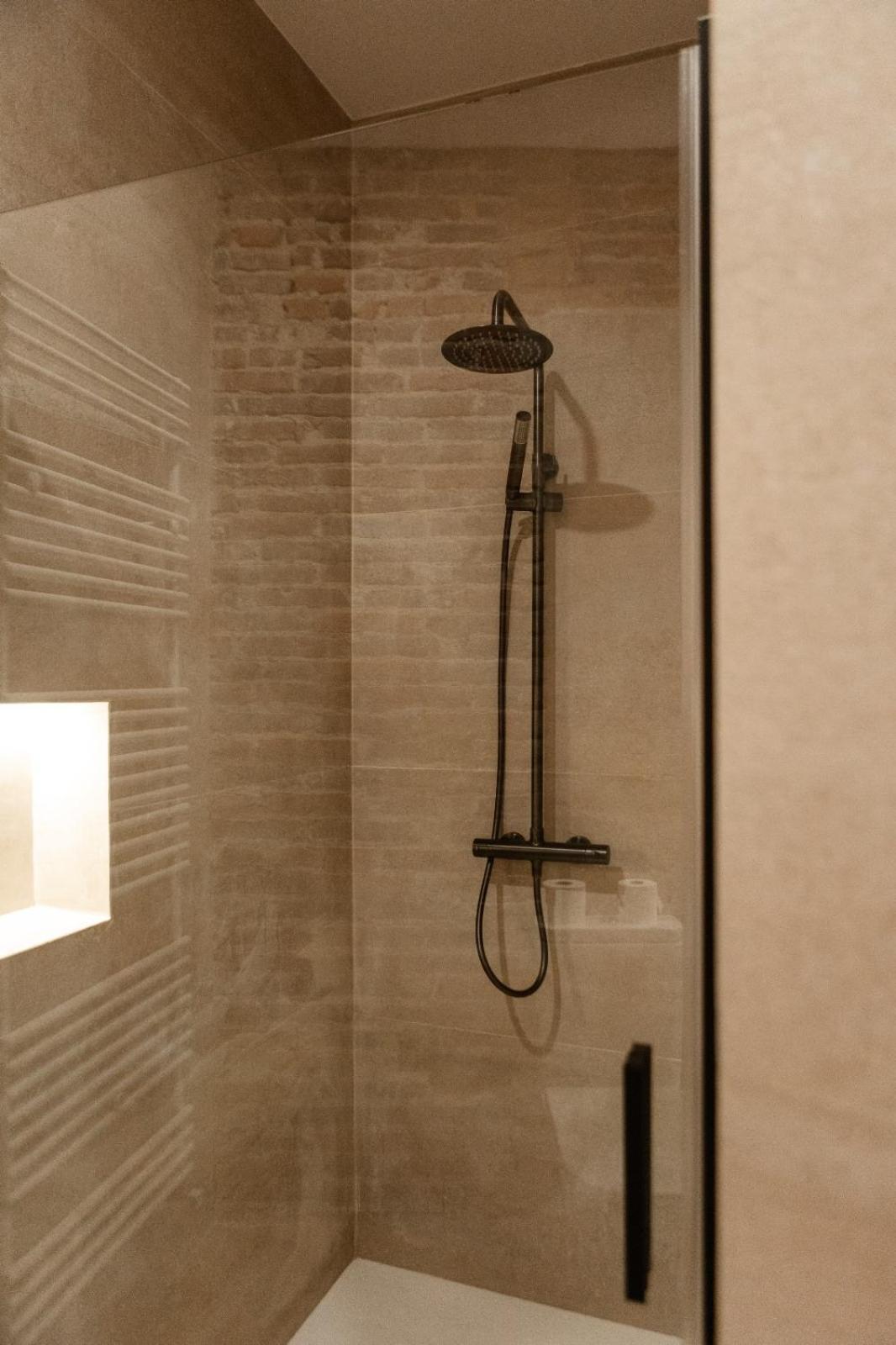 Albany Ancha Hotel Leon Exterior photo A shower rail
